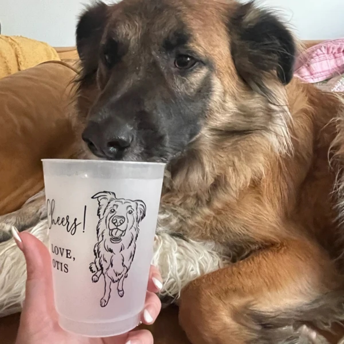10/50 Copos de plástico foscos - Plastic Cup 50Pcs avaliação e preço